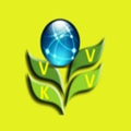 Vivek Anand - BA Professional Studies (Univ of Hawaii)